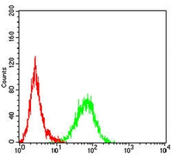 CD36L1 Mouse Monoclonal Antibody