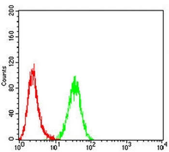 RRM1 Mouse Monoclonal Antibody