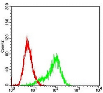 RSK3 Mouse Monoclonal Antibody