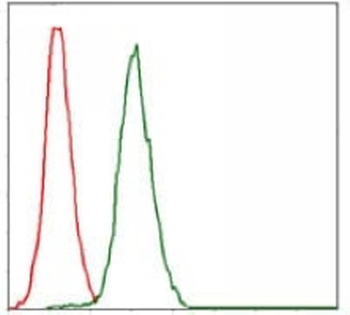 RPA1 Mouse Monoclonal Antibody