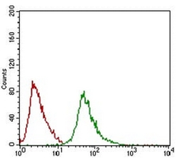 RING1 Mouse Monoclonal Antibody