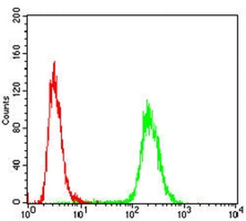 RhoA Mouse Monoclonal Antibody