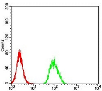 NeuN Mouse Monoclonal Antibody