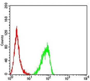 RbAp46 Mouse Monoclonal Antibody
