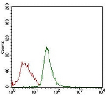 RB1 Mouse Monoclonal Antibody