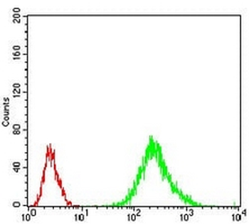 RANBP9 Mouse Monoclonal Antibody