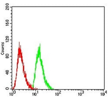 RAN Mouse Monoclonal Antibody