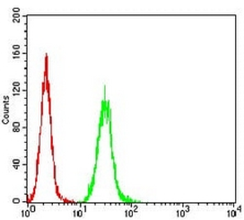 RALB Mouse Monoclonal Antibody