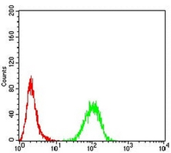 RALA Mouse Monoclonal Antibody