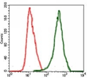 c-RAF Mouse Monoclonal Antibody