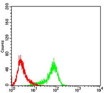 RAD23B Mouse Monoclonal Antibody