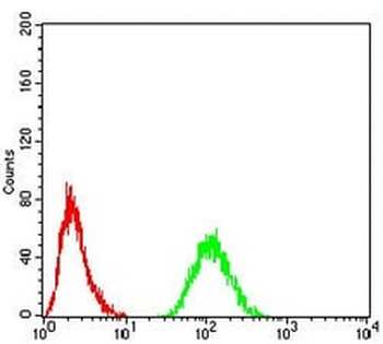 RAD21 Mouse Monoclonal Antibody