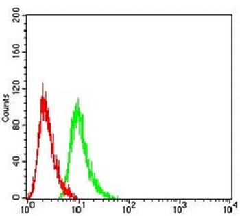 RAB6B Mouse Monoclonal Antibody