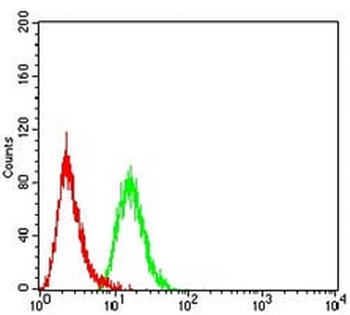 RAB5A Mouse Monoclonal Antibody