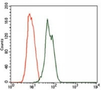 Rab 4A Mouse Monoclonal Antibody