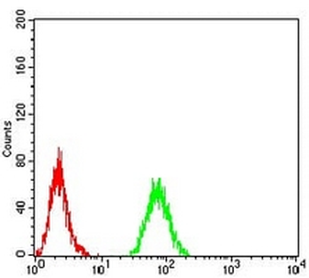 RAB11FIP1 Mouse Monoclonal Antibody