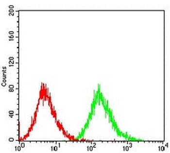 PTP1B Mouse Monoclonal Antibody