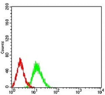 AMPK alpha 2 Mouse Monoclonal Antibody