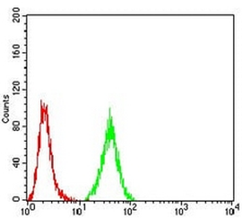 PRDM5 Mouse Monoclonal Antibody