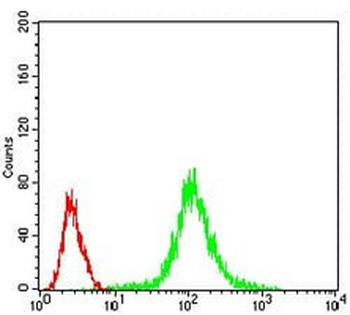 PP1 beta Mouse Monoclonal Antibody