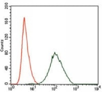 PLK1 Mouse Monoclonal Antibody