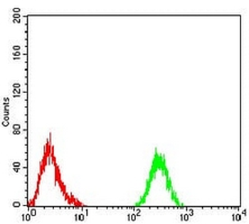PLC gamma 1 Mouse Monoclonal Antibody