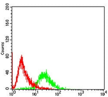 Pyridoxal Kinase Mouse Monoclonal Antibody