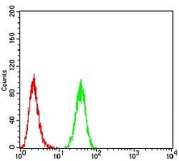 PDPK1 Mouse Monoclonal Antibody