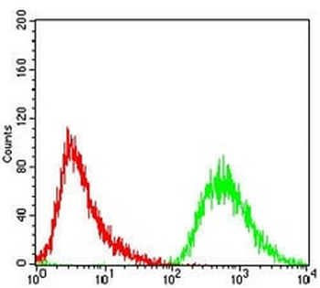 PDK2 Mouse Monoclonal Antibody