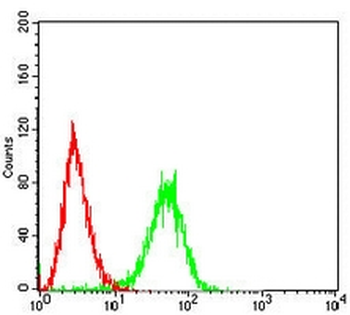 PDHA1 Mouse Monoclonal Antibody