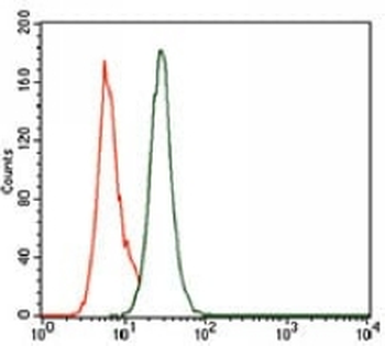 PCNA Mouse Monoclonal Antibody