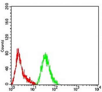 PCK2 Mouse Monoclonal Antibody