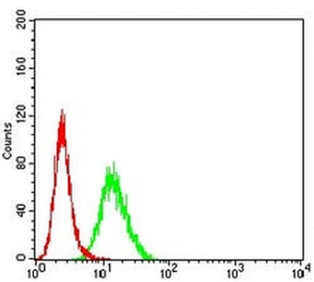 Protocadherin-9 Mouse Monoclonal Antibody