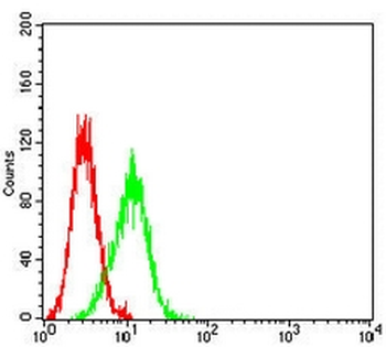 PAX8 Mouse Monoclonal Antibody