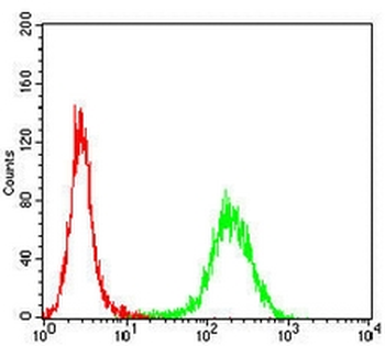 PDI Mouse Monoclonal Antibody