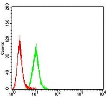P2Y12 Mouse Monoclonal Antibody