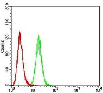 P2Y1 Mouse Monoclonal Antibody
