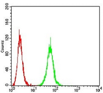 P2RX7 Mouse Monoclonal Antibody
