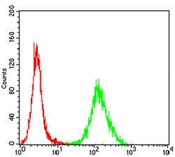 OTUB2 Mouse Monoclonal Antibody
