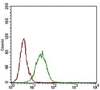 CD73 Mouse Monoclonal Antibody