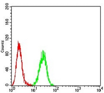 Neuropilin 1 Mouse Monoclonal Antibody