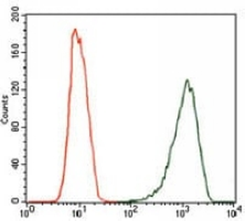 iNOS Mouse Monoclonal Antibody