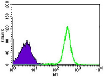 NELFA Mouse Monoclonal Antibody