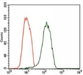NEFM Mouse Monoclonal Antibody