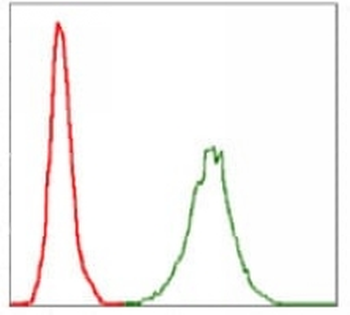 NEFL Mouse Monoclonal Antibody