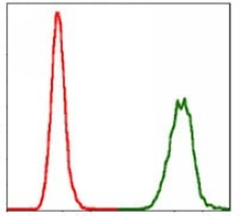 NEDD8 Mouse Monoclonal Antibody