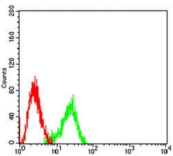 NDC80 Mouse Monoclonal Antibody