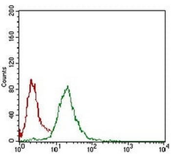 Nibrin Mouse Monoclonal Antibody