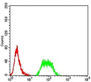 ARD1 Mouse Monoclonal Antibody