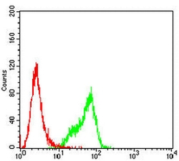 MLCK1 Mouse Monoclonal Antibody